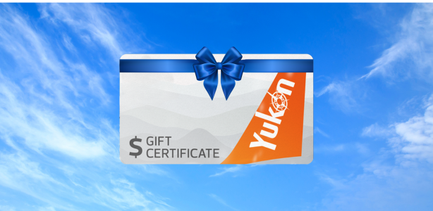 Air North Gift Certificate Blue Bow