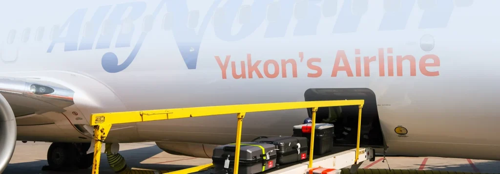 conveyor loading bags into plane cargo section