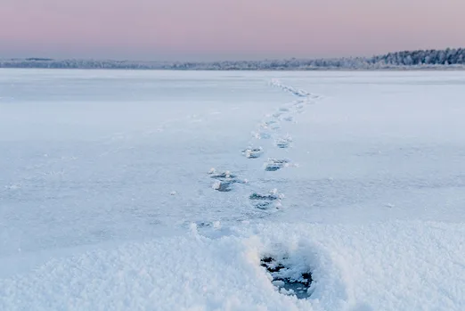 Footsteps in the snow