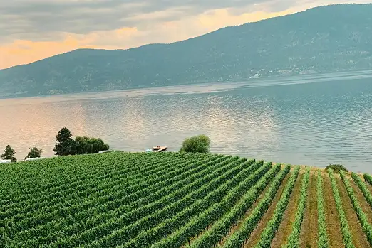 Kelowna winery